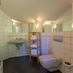 Taube Xl