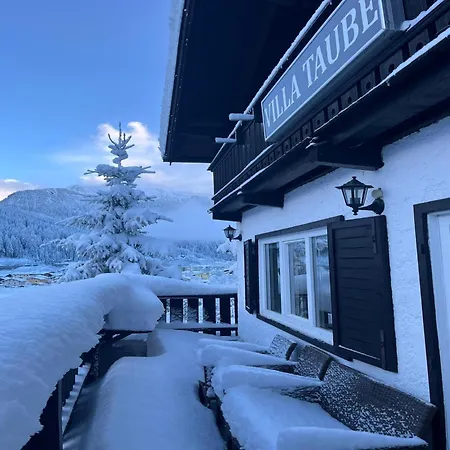 Taube Xl * Bad Gastein