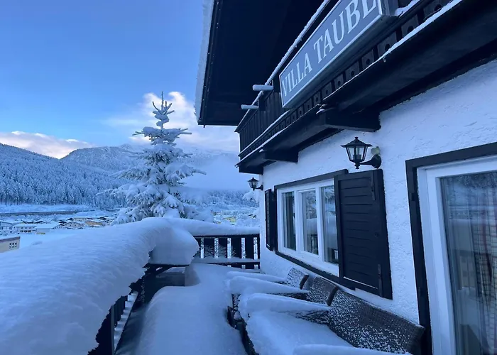 Taube Xl * Bad Gastein