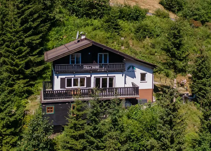 Taube Xl Bad Gastein